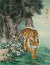 spring tiger