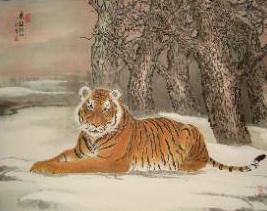 winter tiger